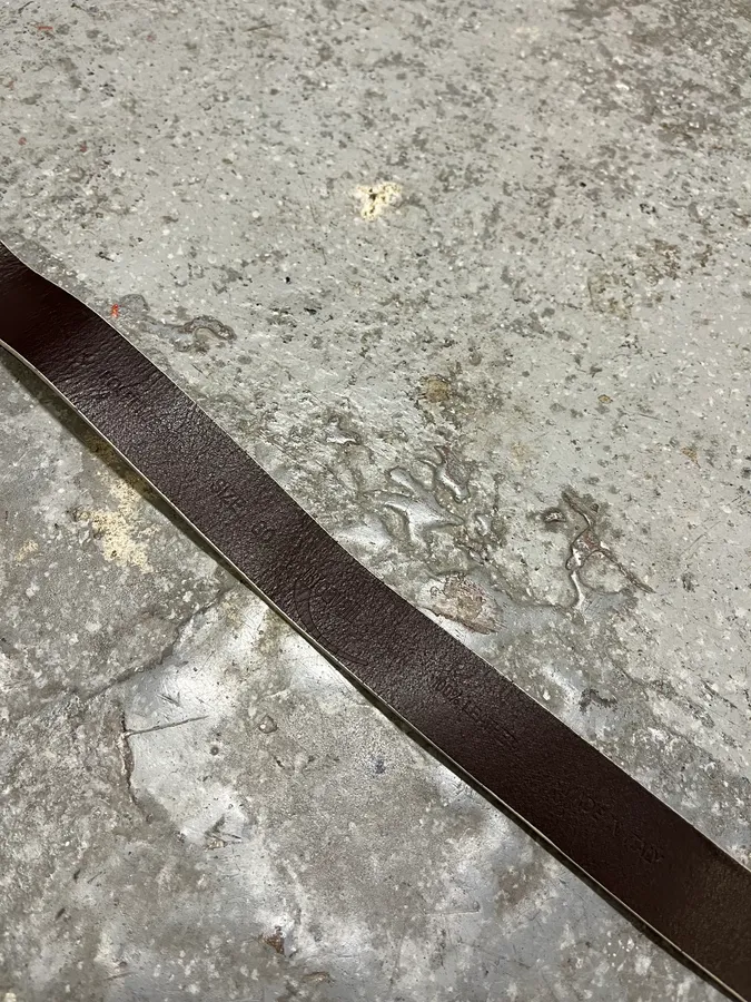 Cavalli Long Metal Ornament Buckle Beige Leathet Belt - Image 8