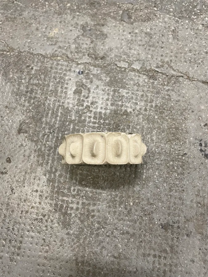 SS2005 Helmut Lang Alligator Resin Bracelet - Image 3