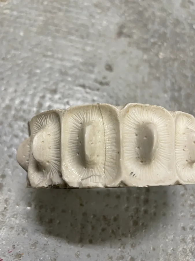 SS2005 Helmut Lang Alligator Resin Bracelet - Image 6